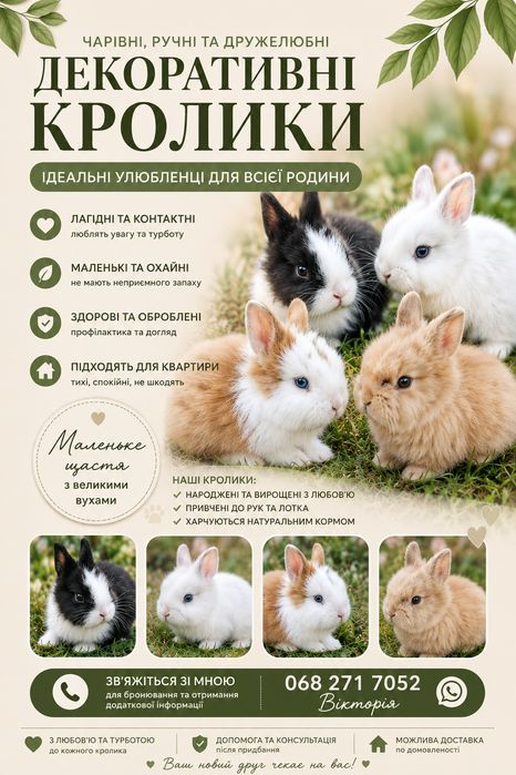 Декоративні кролики