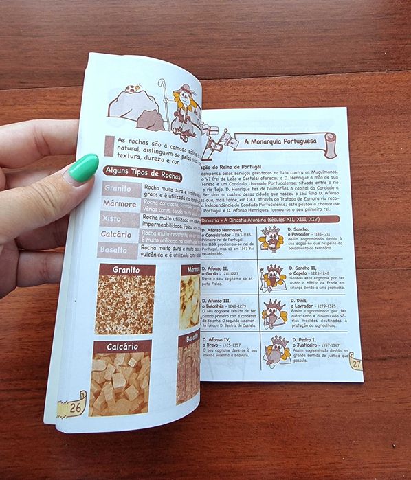 Livro "Aprende Estudo do Meio com o Prof. Girassol"