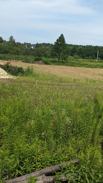 Земельна ділянка 20 сотих пі забудову Суховоля