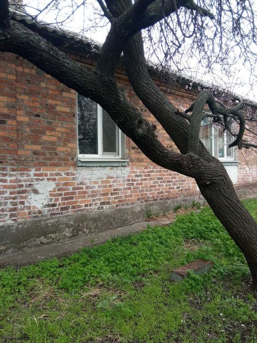 Продам отдельно стоящий дом в Харькове