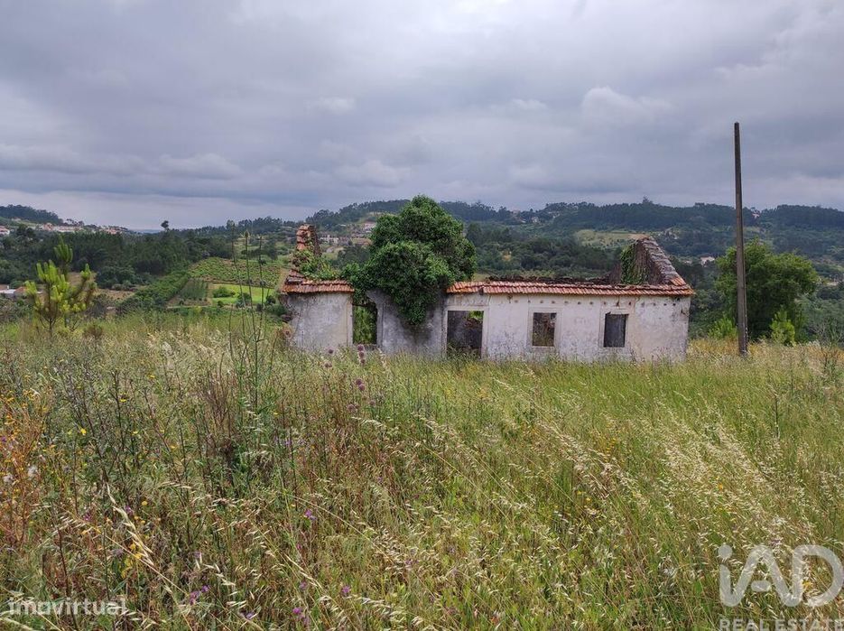 Terreno para construção em Colmeias e Memória de 116,00 m2