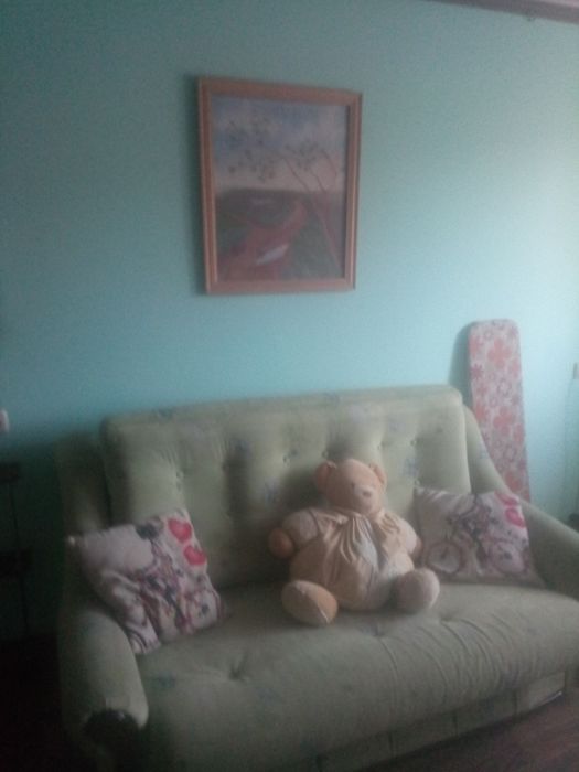 Сдам комнату. Левый берег