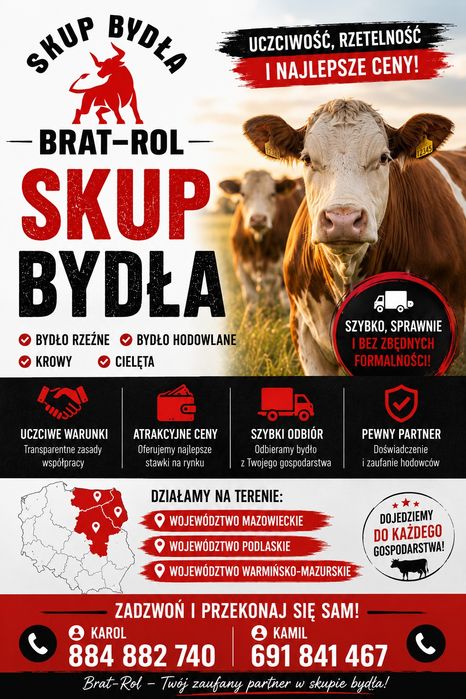 Skup bydła rzeźnego