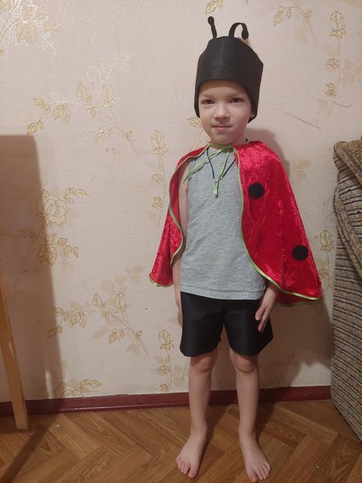 Костюм жук сонечко