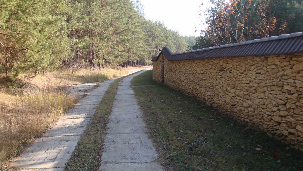 Оренда. Будинок в лісі. Здача від власника. Житомирський напрямок. 35 км від Київа