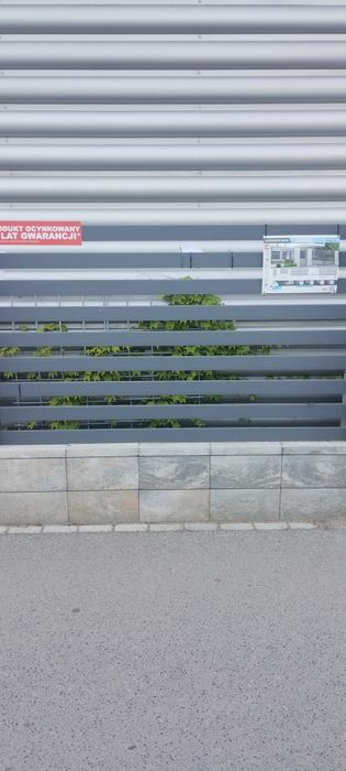 Sprzedam przęsła ogrodzeniowe wzór Dorian antracyt