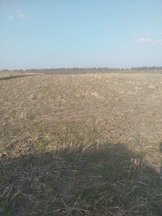 Продам участок в селі Трушки