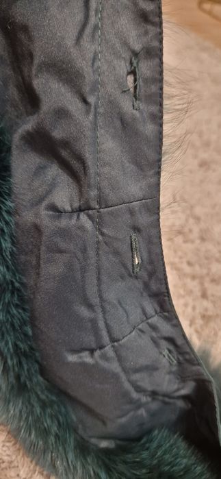 Kołnierzyk norka zielony