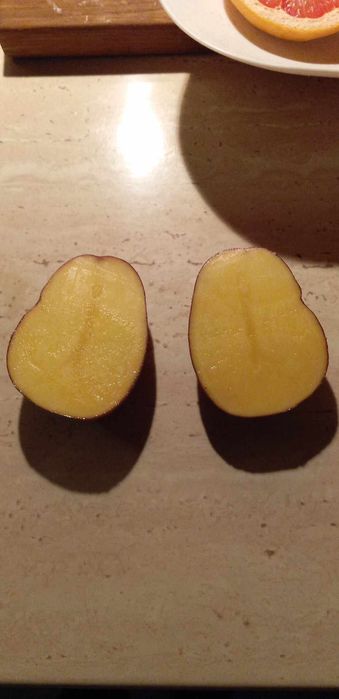 Ziemniaki Denar Lilly Hetman Red Sonia( czerwona) gwiazda Lord