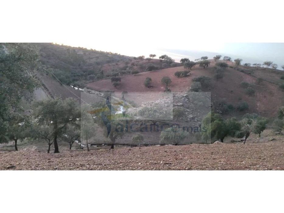 Propriedade rural com área total de 9 hectares - zona de Vila Nova ...