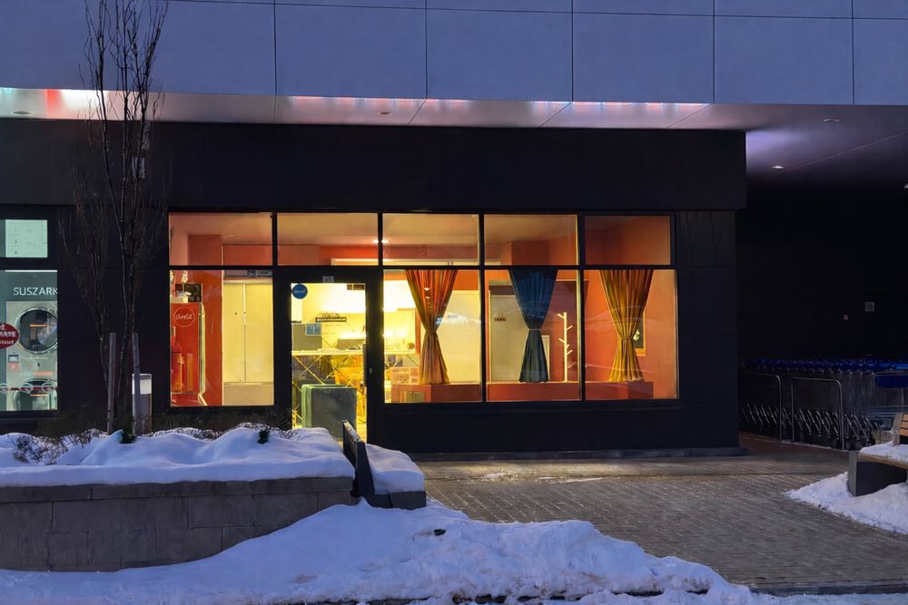 Lokal użytkowy do wynajęcia