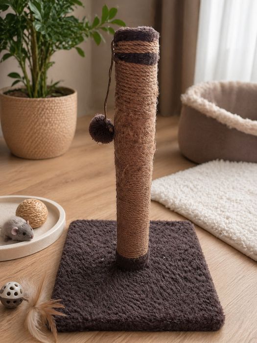 Когтеточки для котенка и для кота