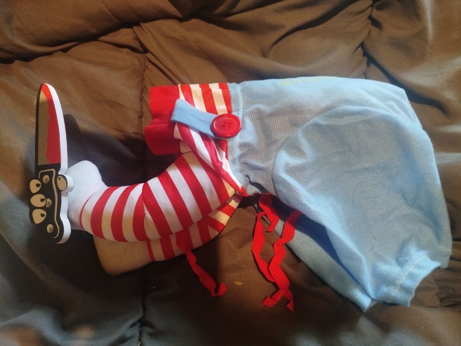 Косюм Пірат для собак середніх пород