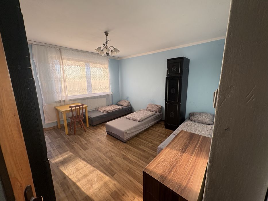 dom hostel całość na wynajem