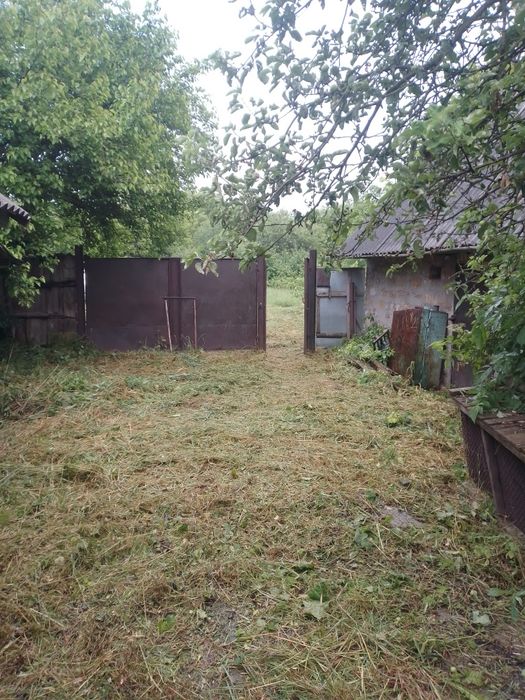 Продам будинок в с.Бірки Козелецького р-ну.