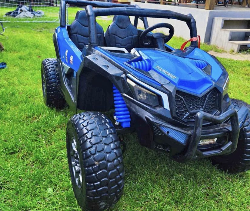 Samochód elektryczny