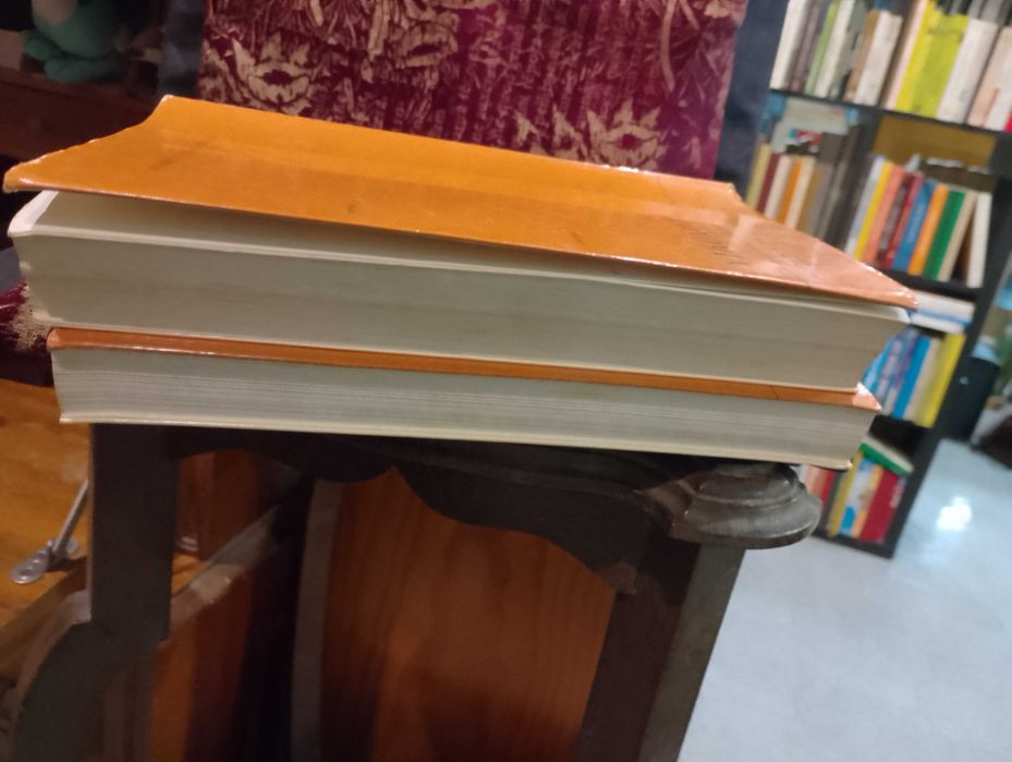 Economia - Paul A. Samuelson 2 Volumes