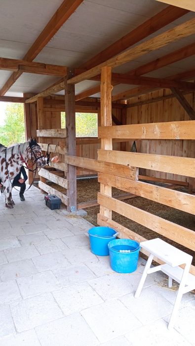 Dom na sprzedaż w Lubartowie