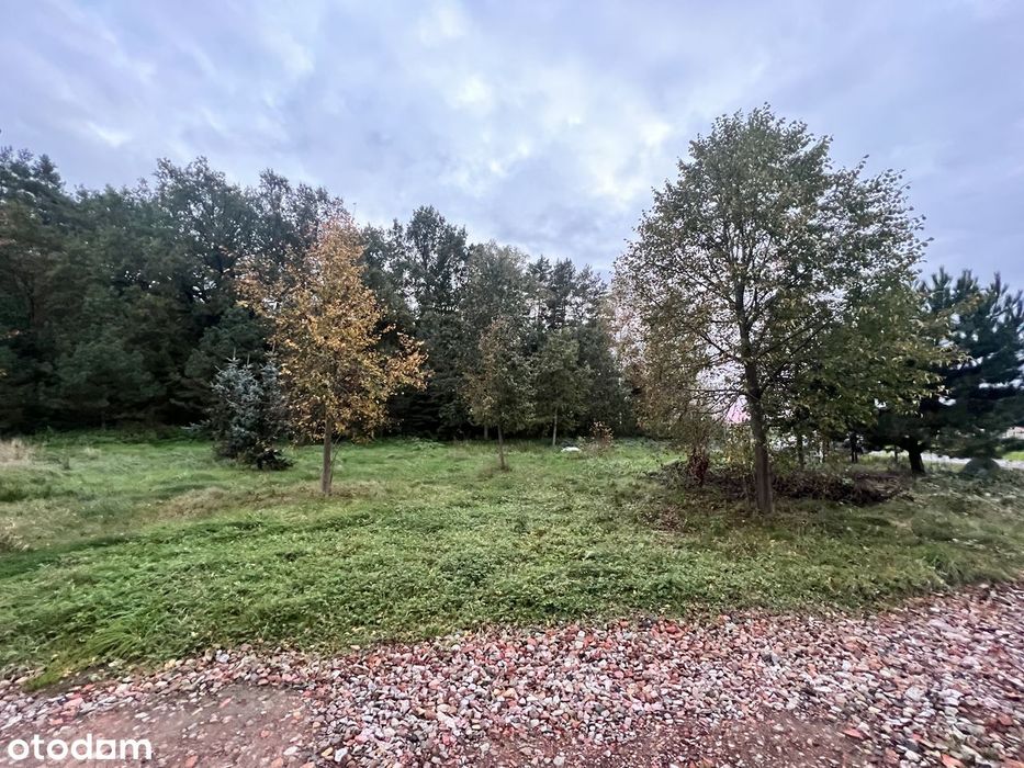 Działka budowlana 974 m² – Katowice Podlesie, ul. Niezapominajek