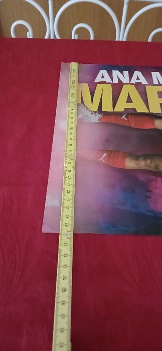 Poster Ana Maria Markovic