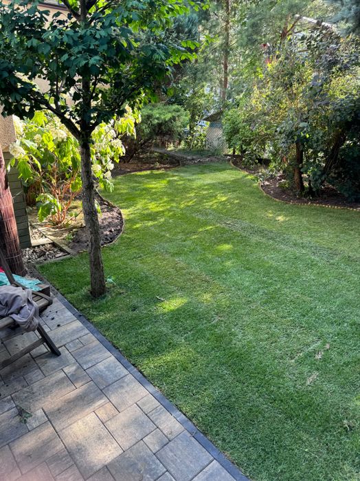 Ogrody, rośliny, nasadzenia , trawniki, rabaty, ogrodzenia