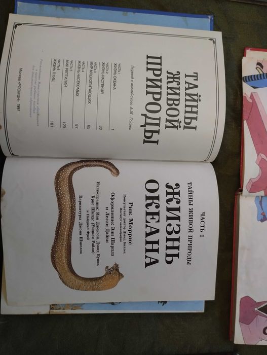 Книга Гулливер детская  литература