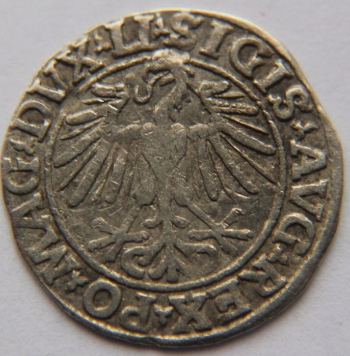 Półgrosz Litewski Zygmunt II August  1548