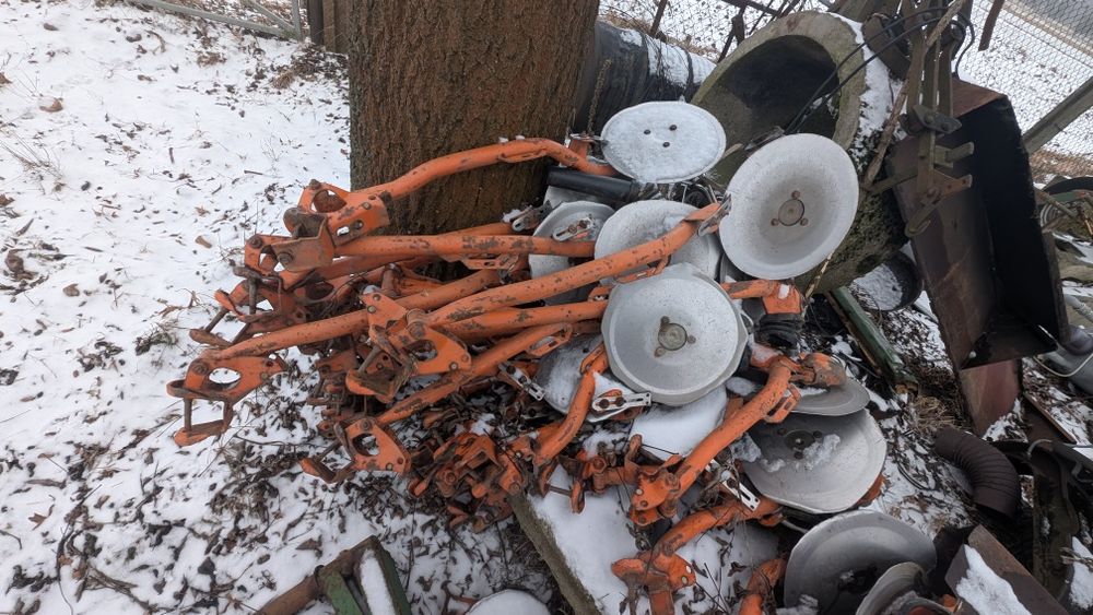 Redlice Talerzowe amazone d8