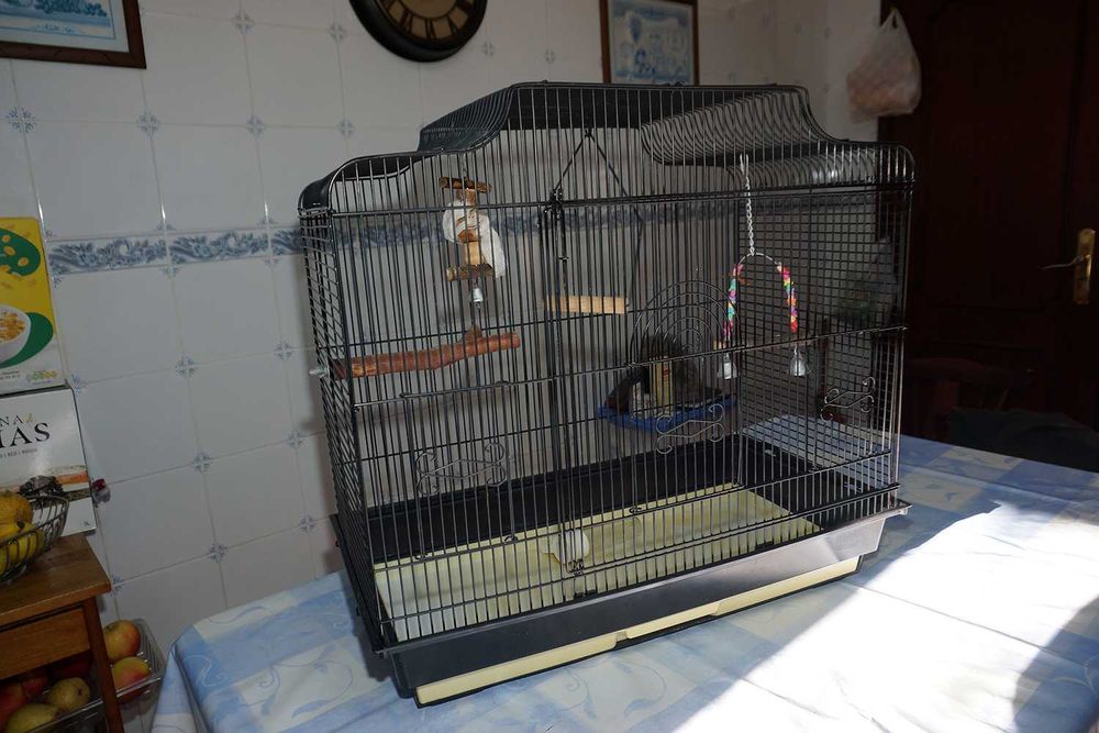 Gaiola Preta Grande Esquilos ou Pássaros