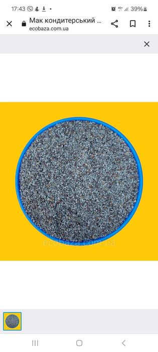 Мак кондитерский Чехия