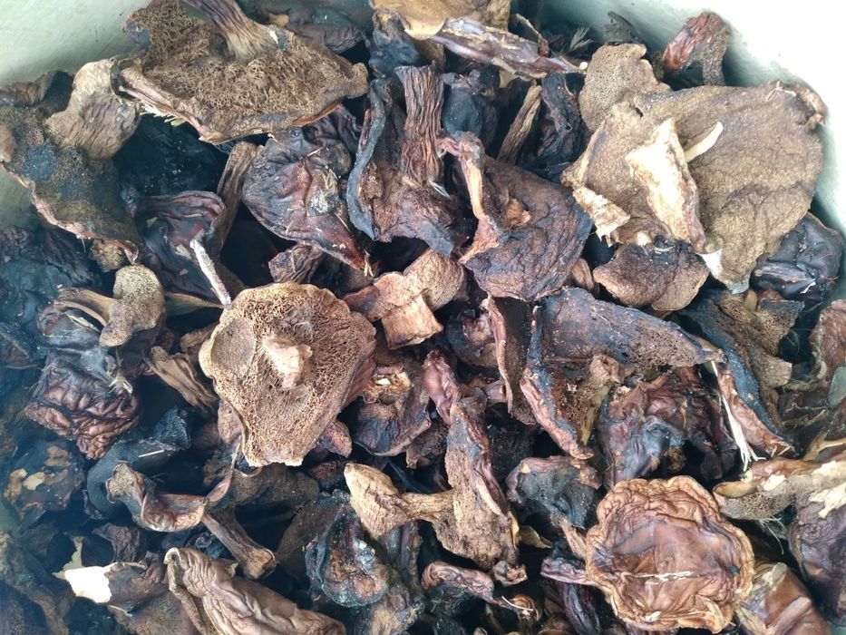 Гриби мариновані, солоні та квашені