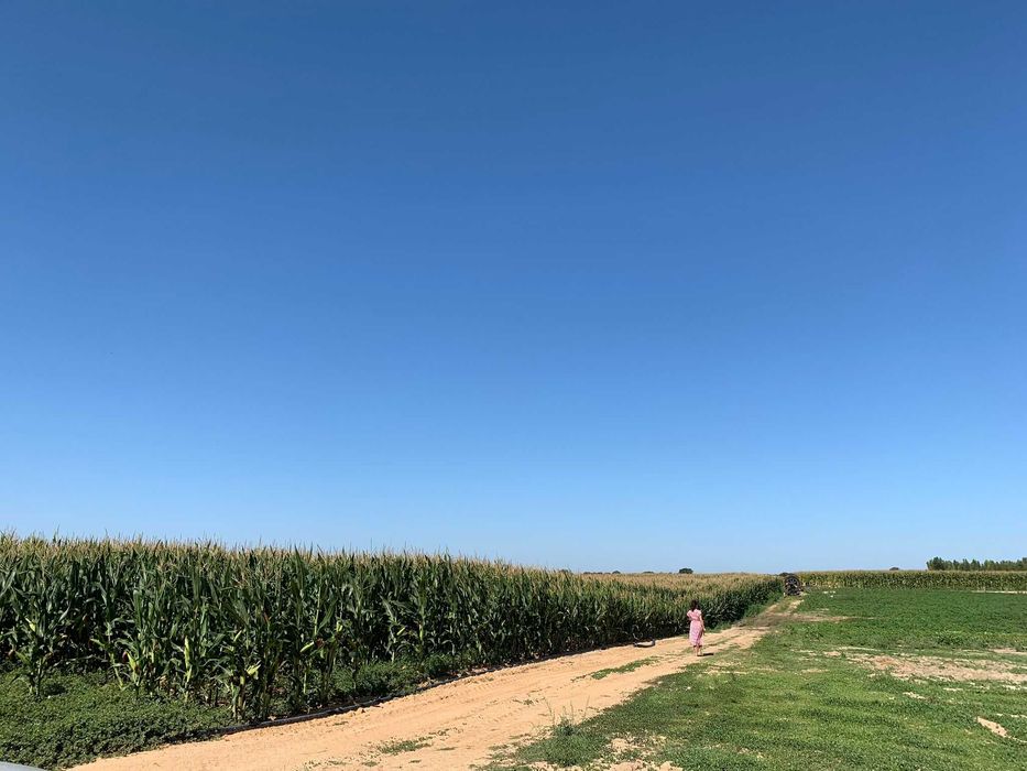 Terreno com possibilidade de construção de moradia