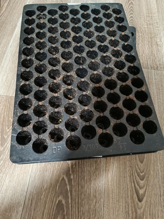 Касеты для рассады