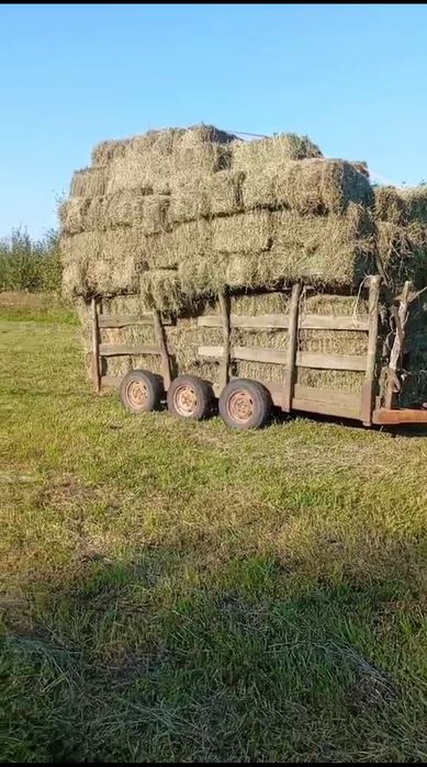 Сіно Солома Отава Люцерква