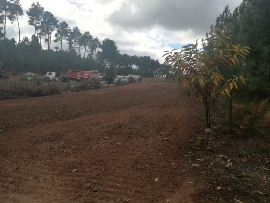 Terreno para Estaleiro ou Estacionamento