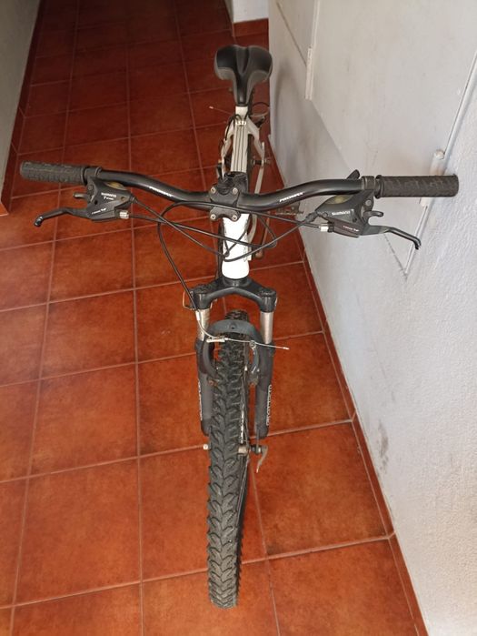 Bicicleta de adulto