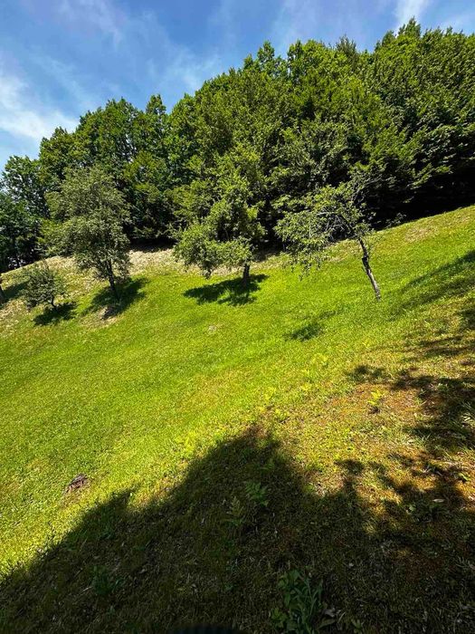 Продається старий будинок з великою земельною ділянкою