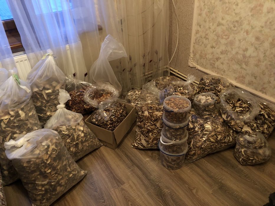 Продам сушені та консервовані гриби