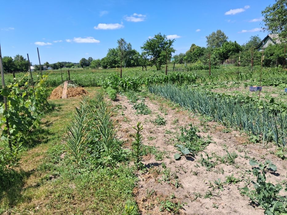 Продаж будинку  в Новому Білоусі .