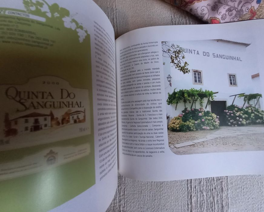 Livro sobre os vinhos da região Oeste Montejunto