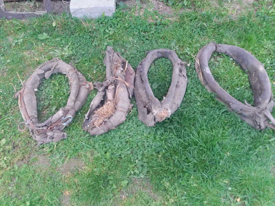 Stare homonta duze i małe homonto Sulechów • OLX.pl