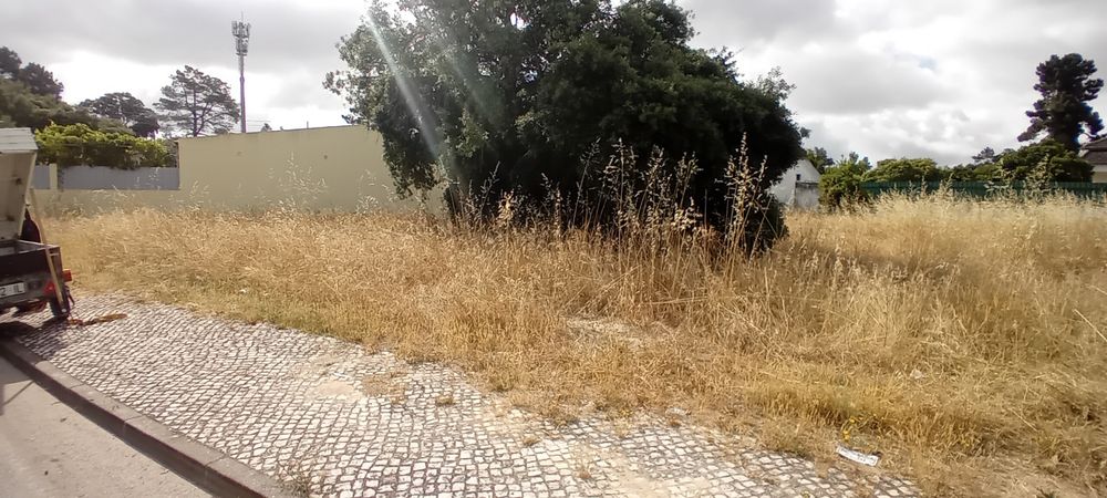 Limpeza de terrenos,  quintais, jardins