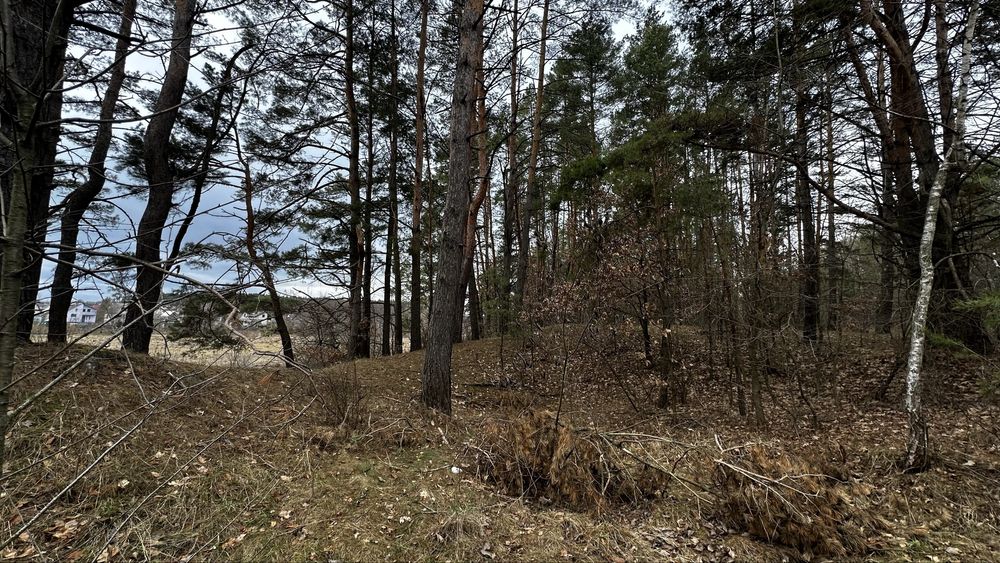 Продається ділянка 1,33 га біля Пряжівського озера