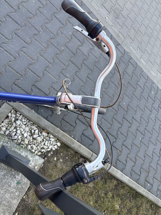 Rower gazelle luzern