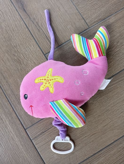 Pozytywka, ryba, wieloryb