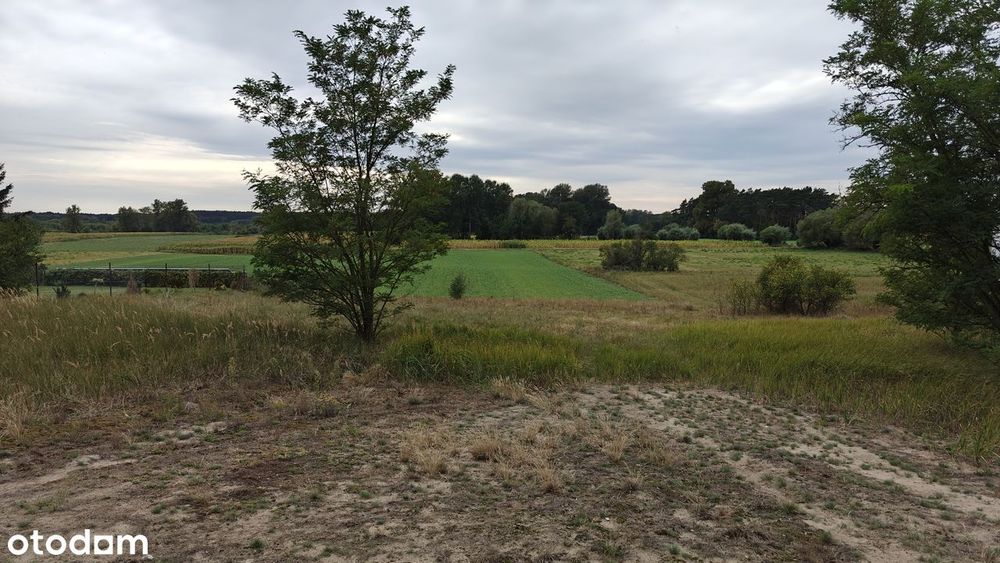 Działka budowlana w Silnie z widokiem na dolinę Wisły 2400m2