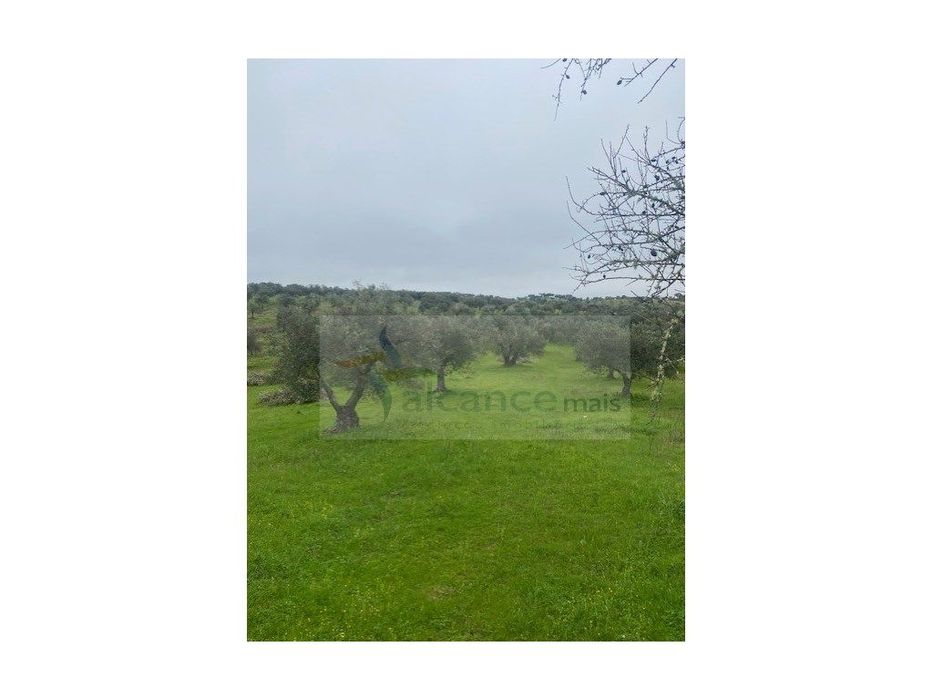 Terreno Misto em Vila Verde de Ficalho - Serpa (Beja, Portugal)