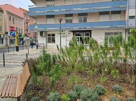 Quarto para arrendar