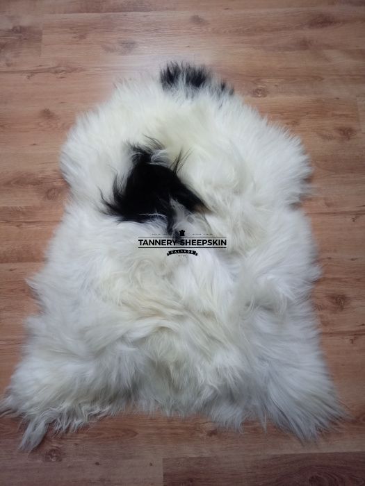 Skóra Owcza Skóry Owcze Island XXXL Różne Kolory Naturalne Dywany