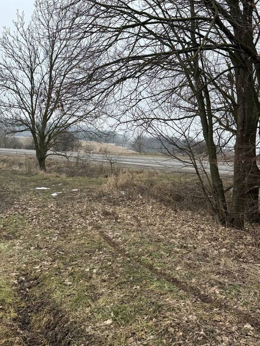 Продаж ділянки ПЕРША ЛІНІЯ с.Валя Кузьміна